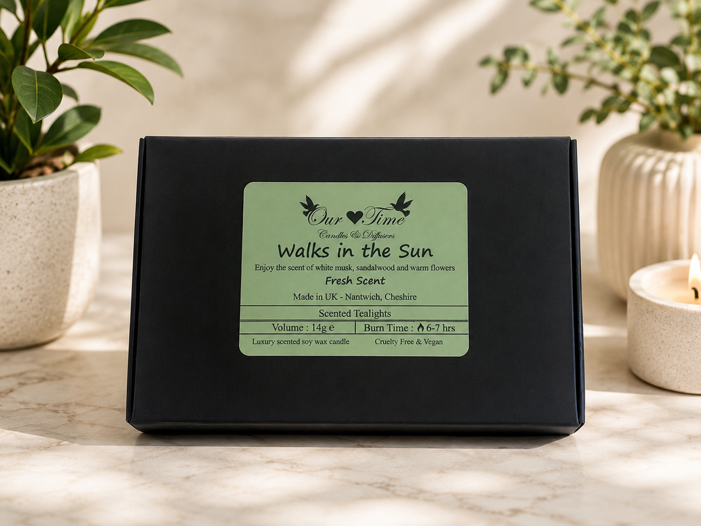 Walks in the Sun Scented Tealights bx/6