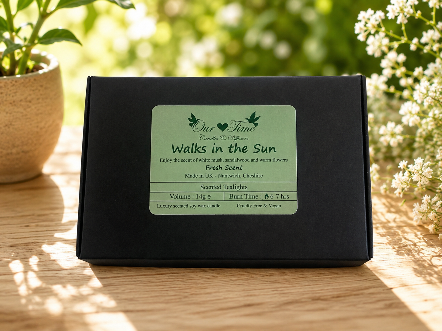 Walks in the Sun Scented Tealights bx/6
